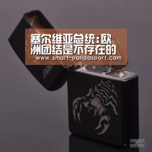 熊猫入口