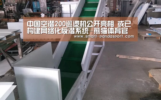 熊猫入口