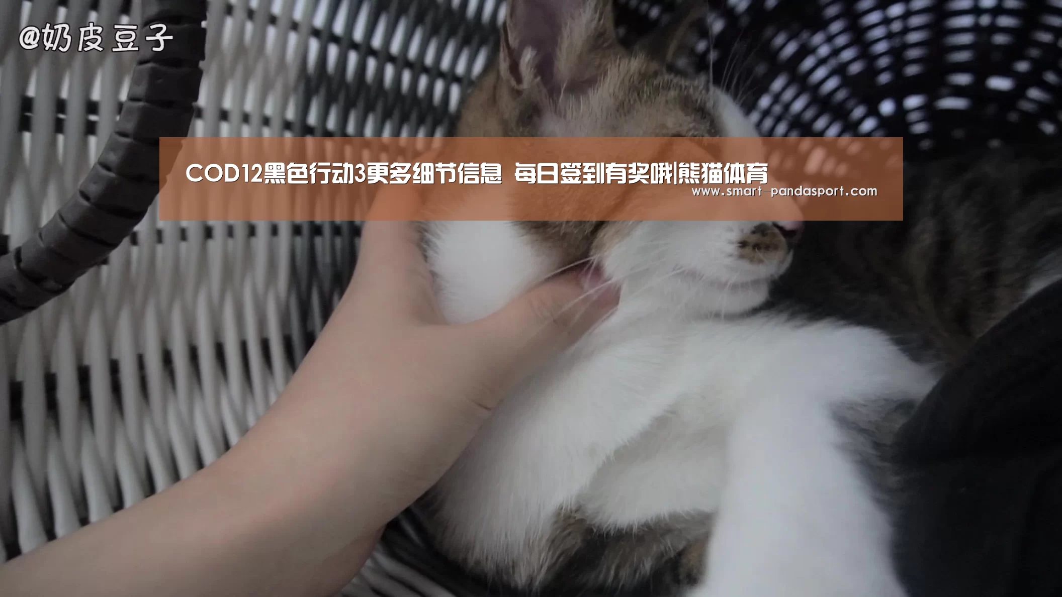 熊猫入口