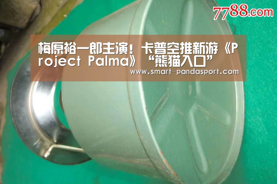 梅原裕一郎主演!卡普空推新游《Project Palma》“熊猫入口”(图2) 熊猫入口