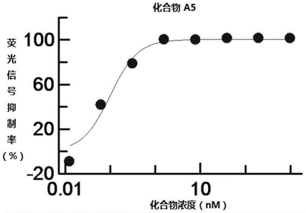 【熊猫入口】俄军新型两栖飞机首飞 俄专家：它在中国有竞争对手
