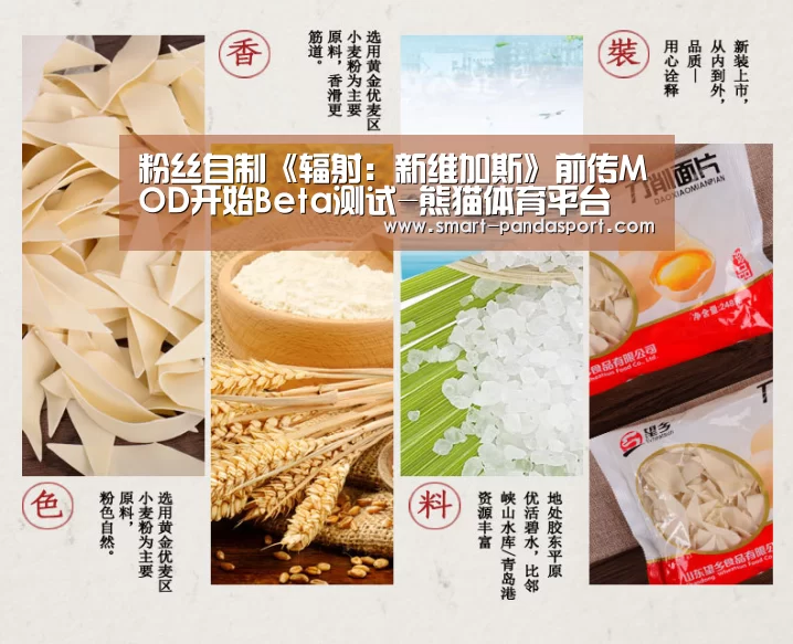 粉丝自制《辐射：新维加斯》前传MOD开始Beta测试-熊猫体