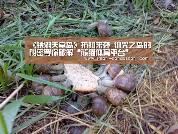 《锈湖天堂岛》折扣来袭  诅咒之岛的秘密等你破解“熊猫体育平