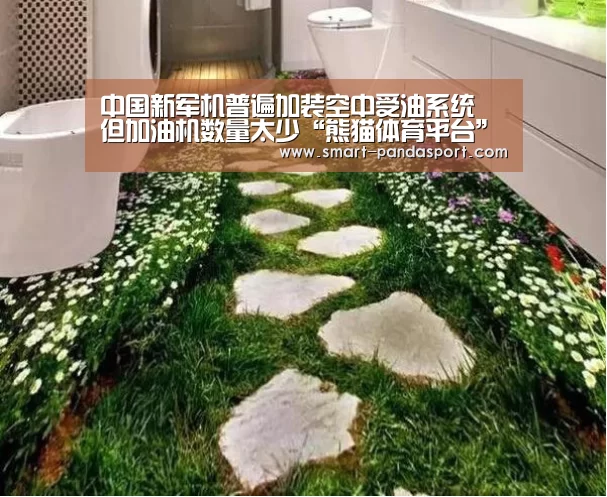 中国新军机普遍加装空中受油系统 但加油机数量太少“熊猫体育平