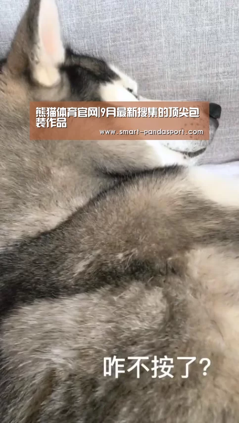 熊猫体育