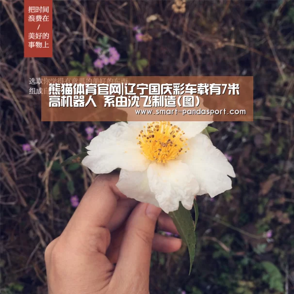 熊猫体育官网|辽宁国庆彩车载有7米高机器人 系由沈飞制造(图)(图3) 熊猫体育