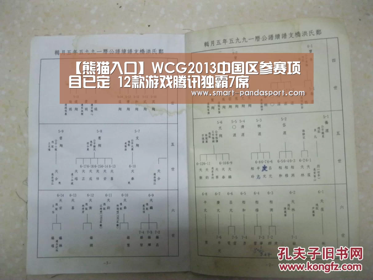 【熊猫入口】WCG2013中国区参赛项目